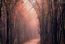 NG体育：[图]东契奇20分詹姆斯16分 湖人104-98击败火箭.