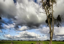 小卡复苏了，哈登终于可以休息了.