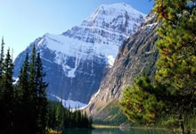 小卡复苏了，哈登终于可以休息了.